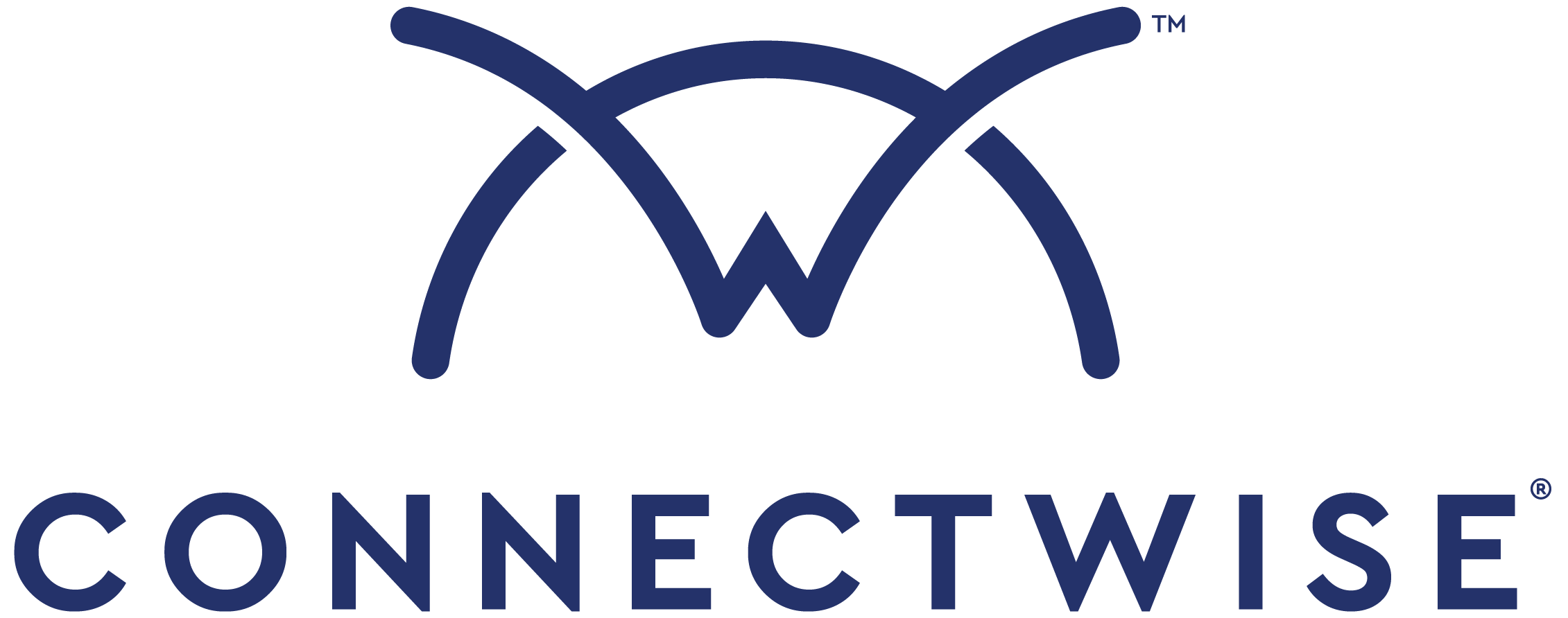 connectwise-vert-master logo