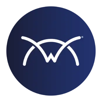 connectwise logo ico