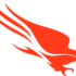 crowdstrike logo icon
