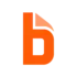 Bill-icon
