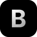 blink-logo-icon--dark