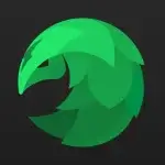 safeshell vpn icon