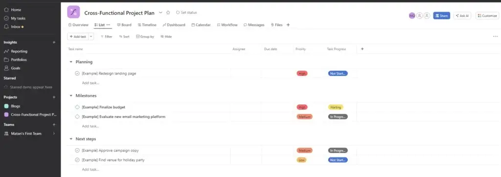 Asana dashboard showing a cross-functional project plan.