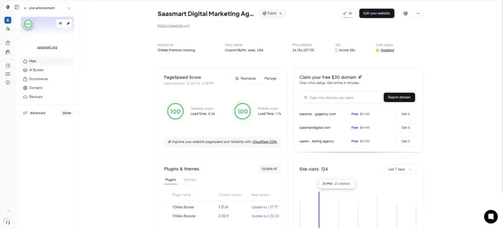 10Web dashboard showing PageSpeed score, hosting details, plugin updates, SSL status, and site analytics