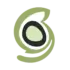 SiteGround icon