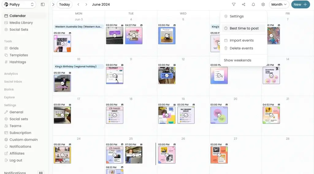 Pallyy post editor for scheduling social media posts with captions hashtags and multi-platform publishing