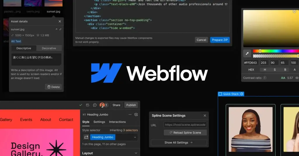Webflow design platform interface with asset controls, styling tools, and visual website editing
