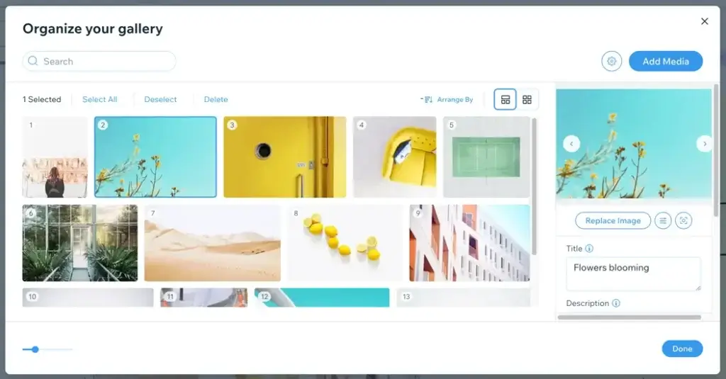Wix media manager organizing gallery images with search, sorting, and image details