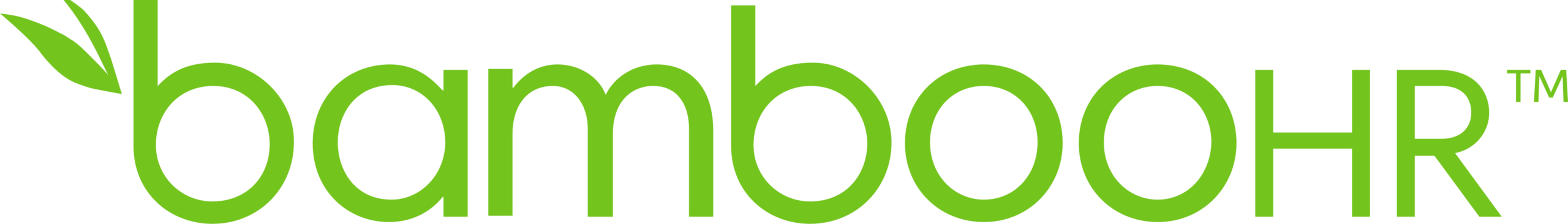 BambooHR_logo