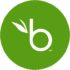 bamboohr_icon