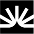 Fullstory icon with white radial lines on a black background