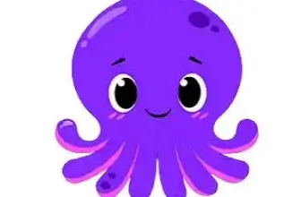 picory_icon