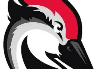 woodpecker_icon