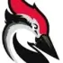 woodpecker_icon